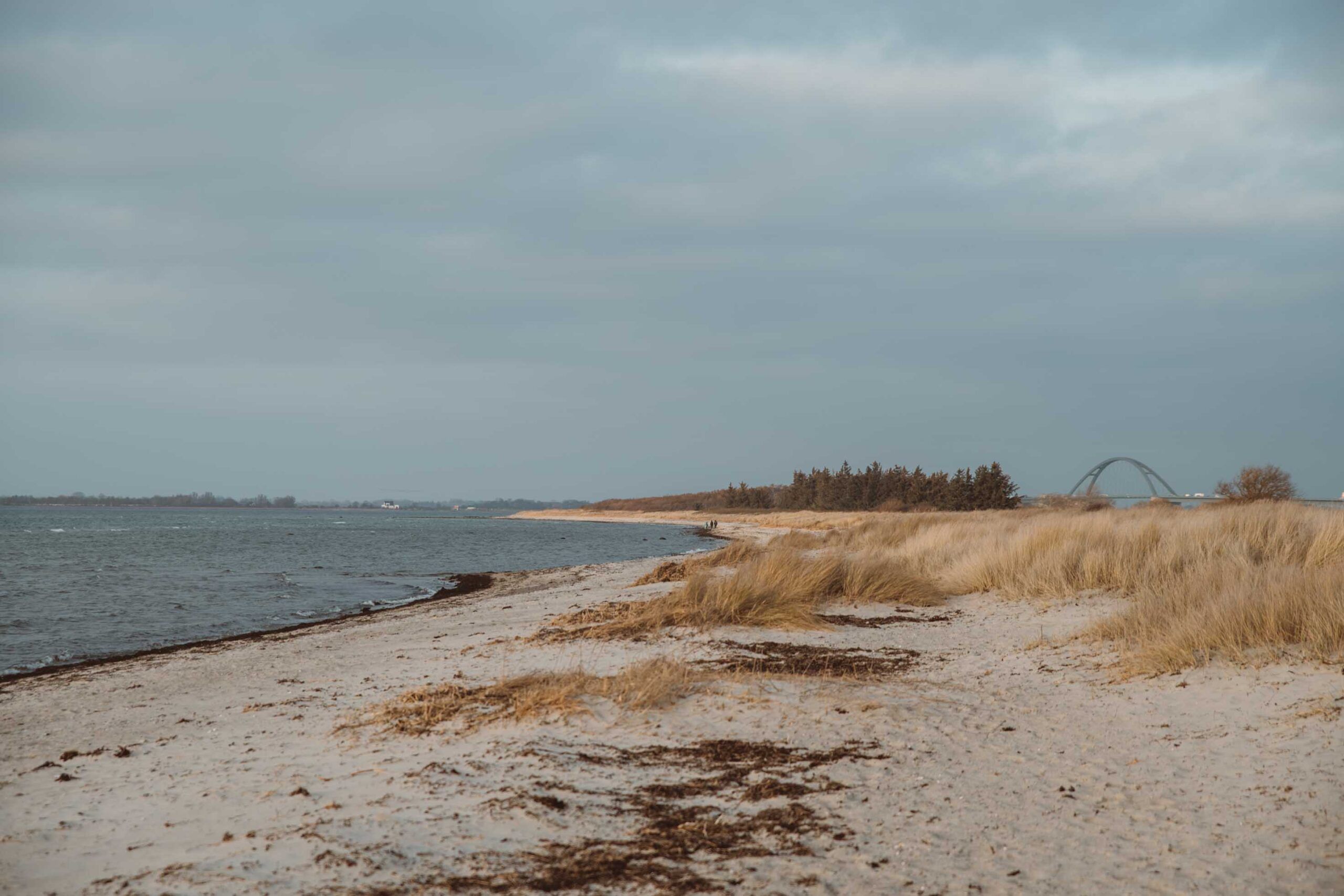 Foto: Großenbrode Strand mit Blick auf Fehmarnsundbrücke