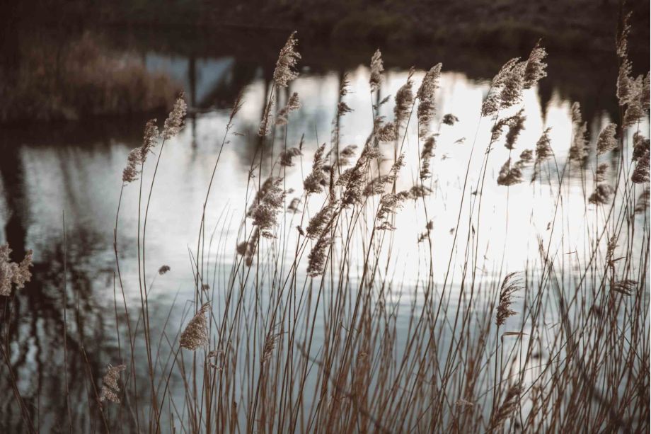 Großenbrode Umgebung